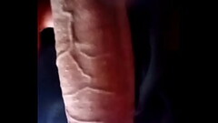 Mi Polla Rica En Vibraci&oacute_n Thumb