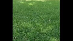 This will be where I film the scene you guys voted on.Remember the white see through crop top / button up. Prepare yourse... Thumb