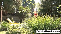 Hot toy playtime With Dahlia Sky Thumb