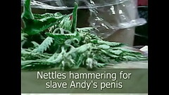Stinging nettles hammering penis dare by slave Andy Thumb