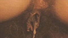 Dark Lantern Entertainment presents '_Steam Age Porn'_ Thumb