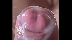 COMPILA&Ccedil_&Atilde_O DE PAU COM PELE (UNCUT) Thumb