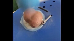 A blue ball on a blue board in the balls Thumb