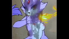 Blaze the Cat (Sonic) furry tribute Thumb