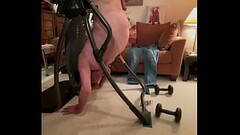 Upside down boner time Thumb