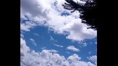 Můj penis venku Thumb